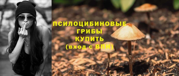 экстази Арсеньев