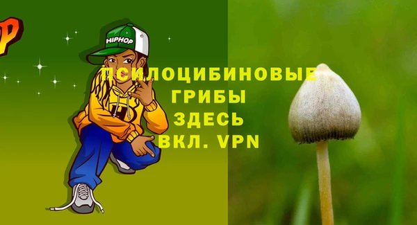 прущий лед Аркадак