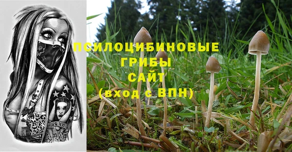 спиды Армянск