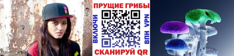 Галлюциногенные грибы ЛСД  Сосновый Бор 
